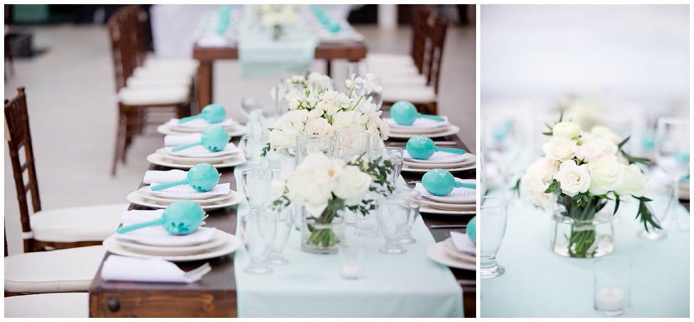 Cabo-Wedding-Photographer---Sara-Richardson_1261